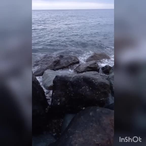 @Алиса Багирова
