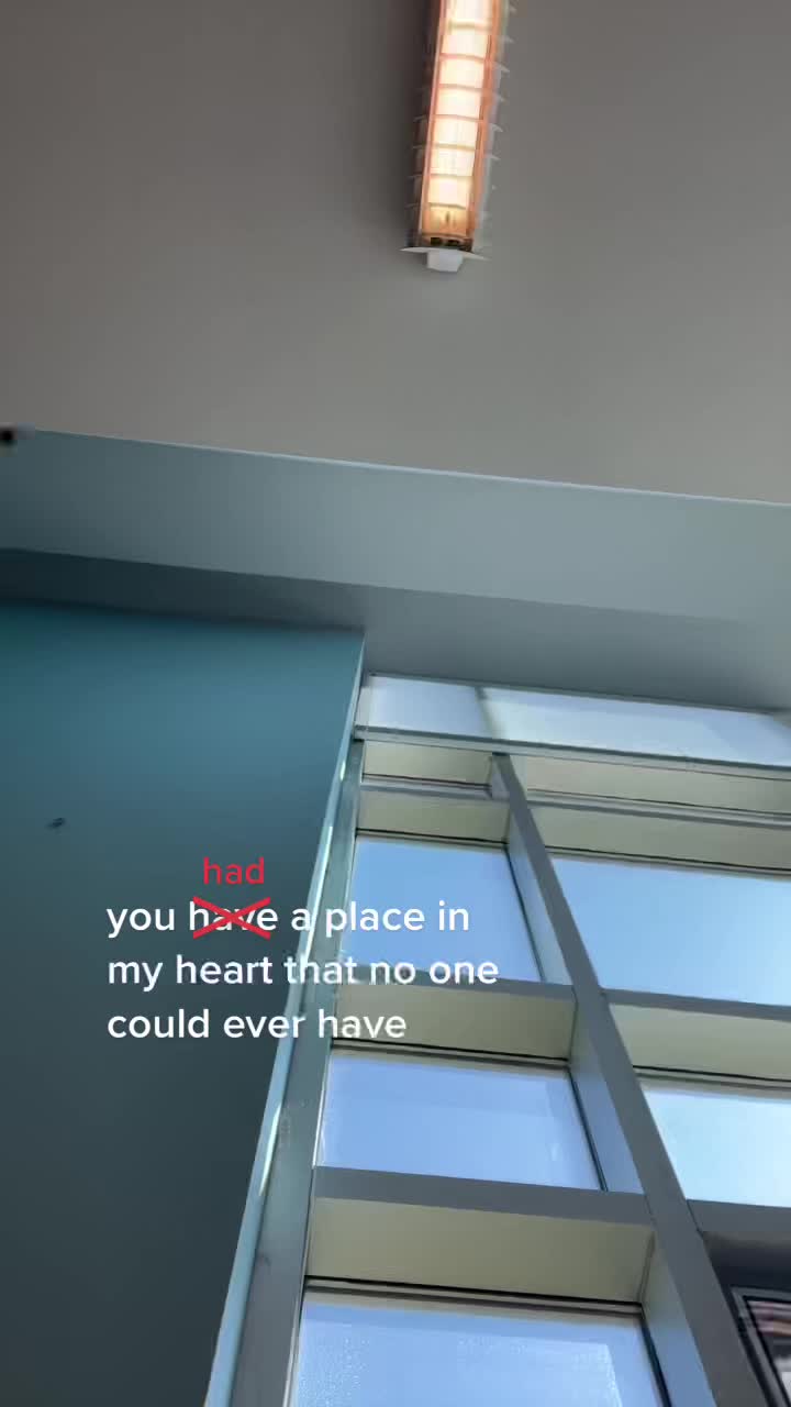 @ᥫ᭡