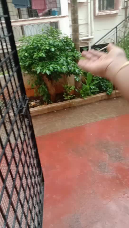 @@pluviophile_shanthi
