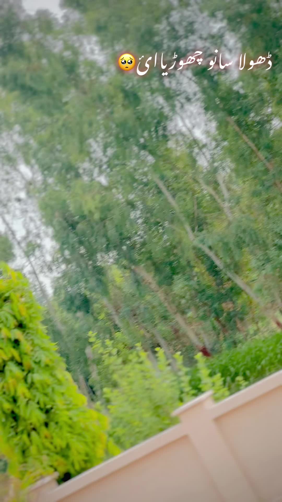 @✨🦅دلاورٹوانہ ہڈالی آلہ🦅✨