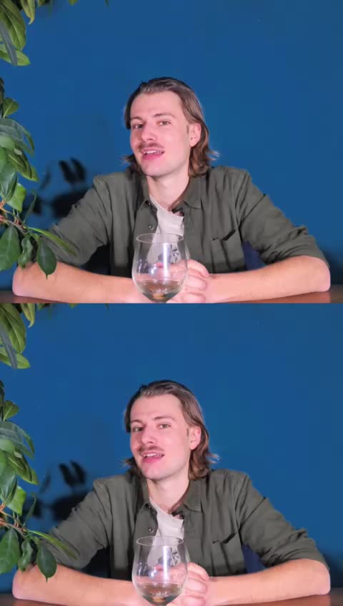 @samuelzbinden