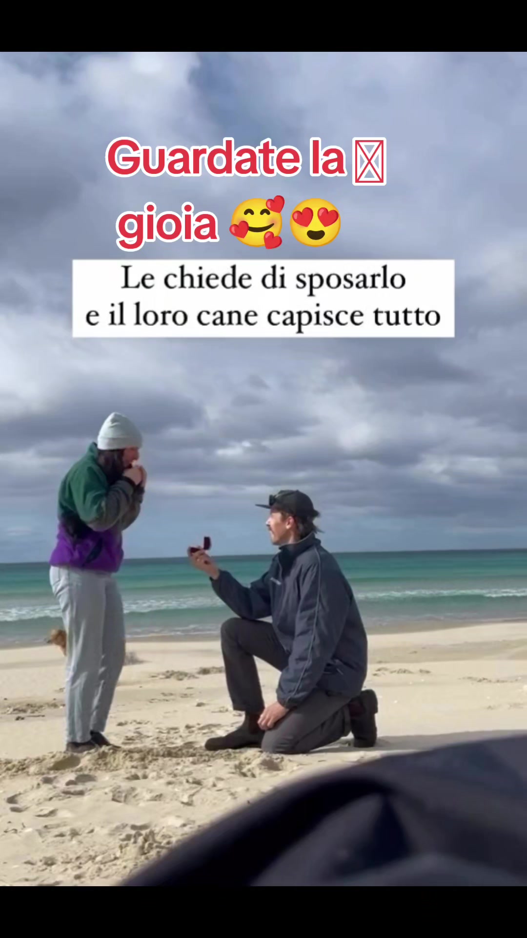 @Angelo B.J.