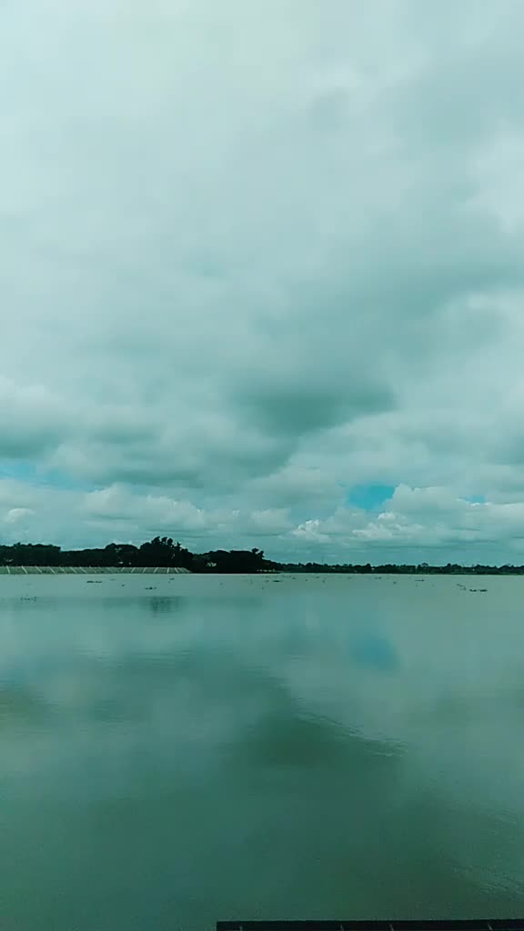 @စိန်ပန်းနီနီ