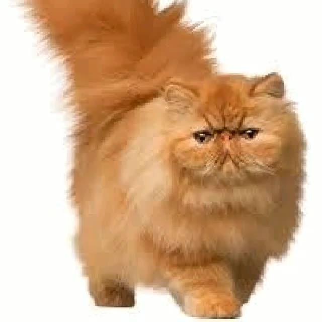 @EeehBlyaat