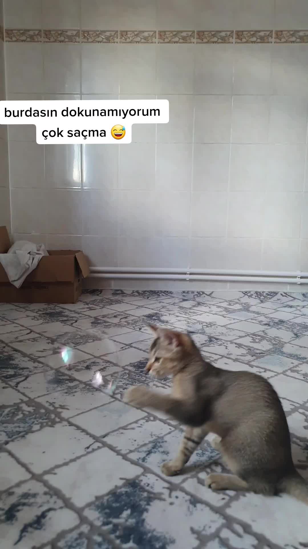 @Alya