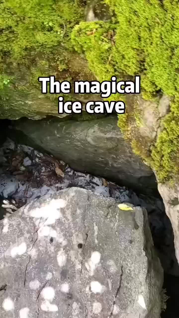 @Qmdsht999