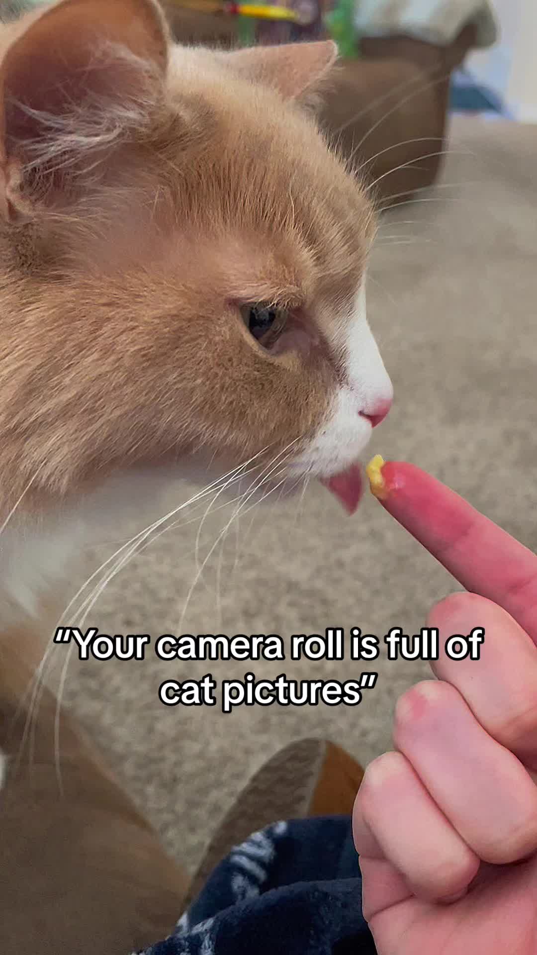 @Aster/Erin