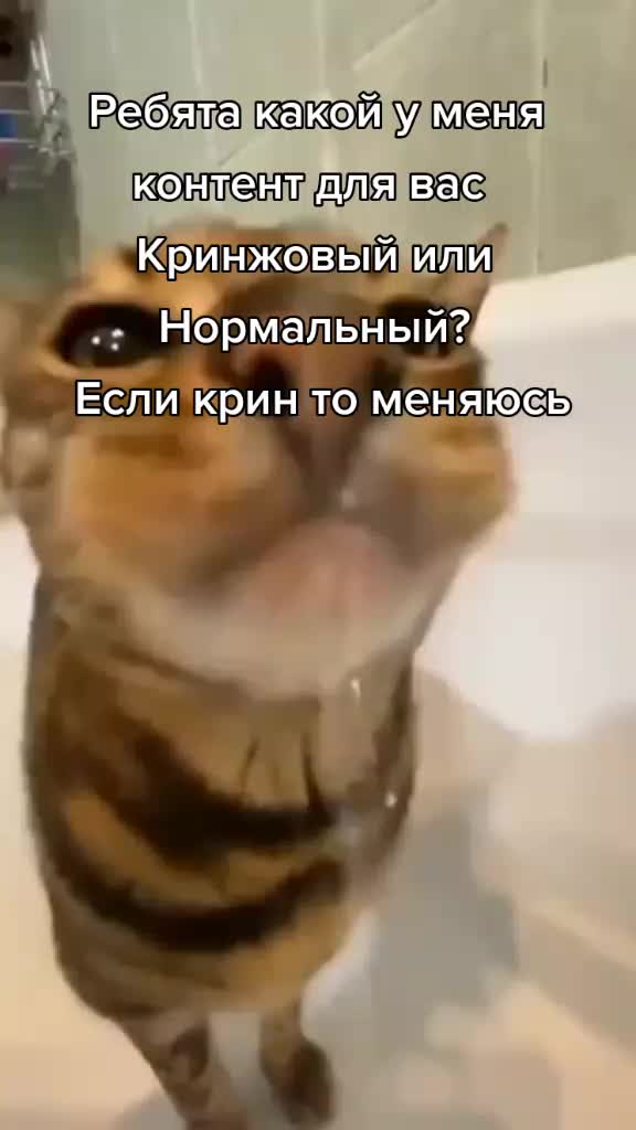 @WELLI