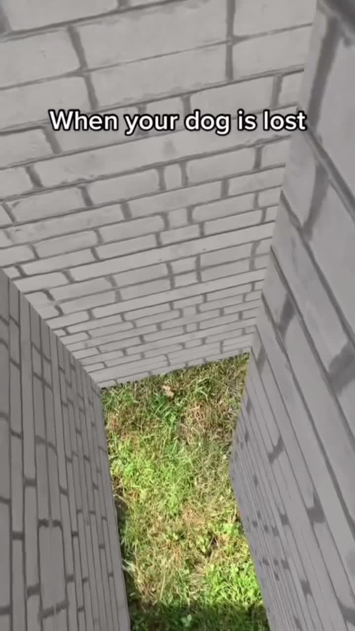 @Houseday007