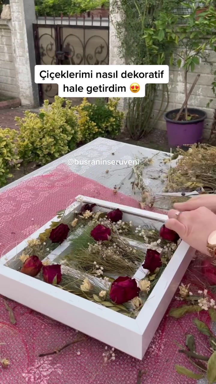 @busraninseruveni