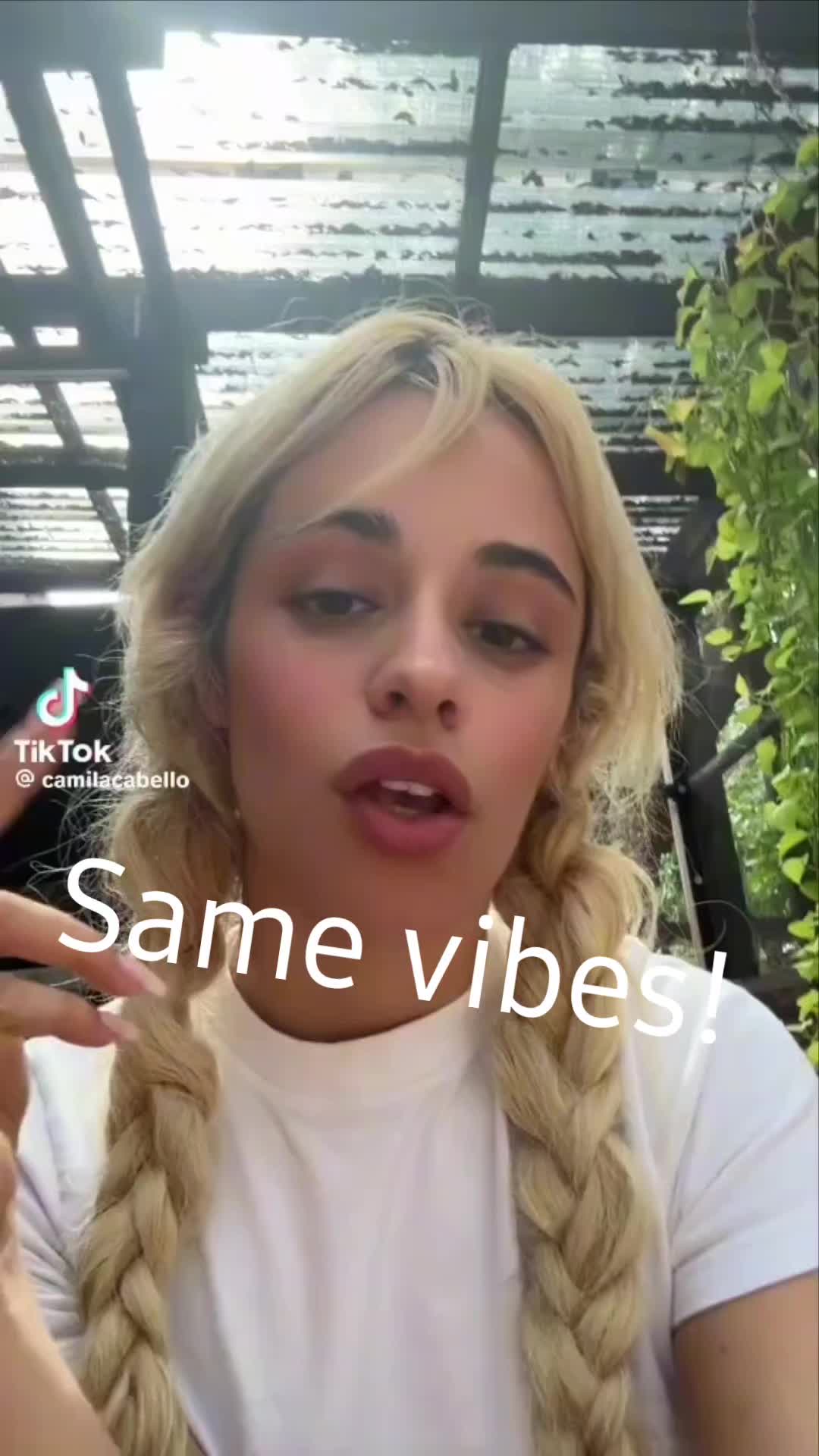 @Calista Calabretta