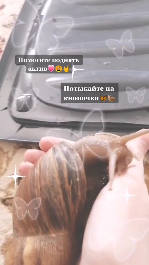 @Улиточки🐌💞
