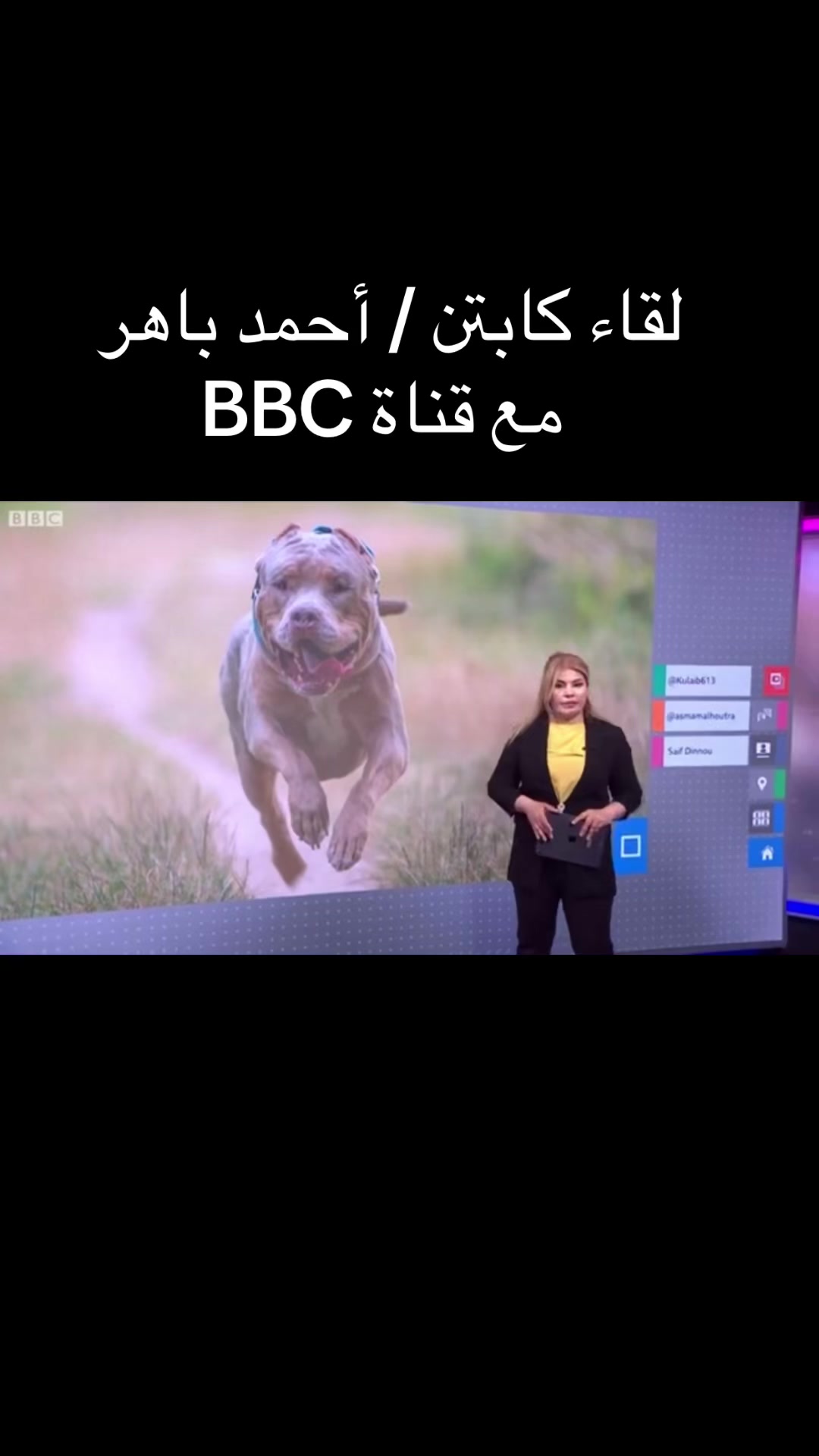 @Dogs Egypt - Ahmed Baher
