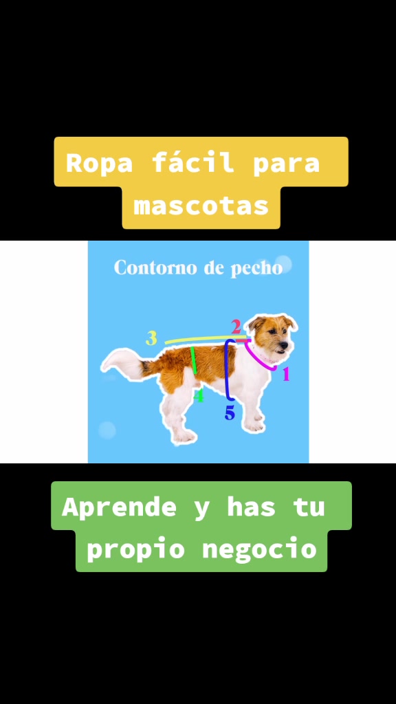 @Mascotas Fashion