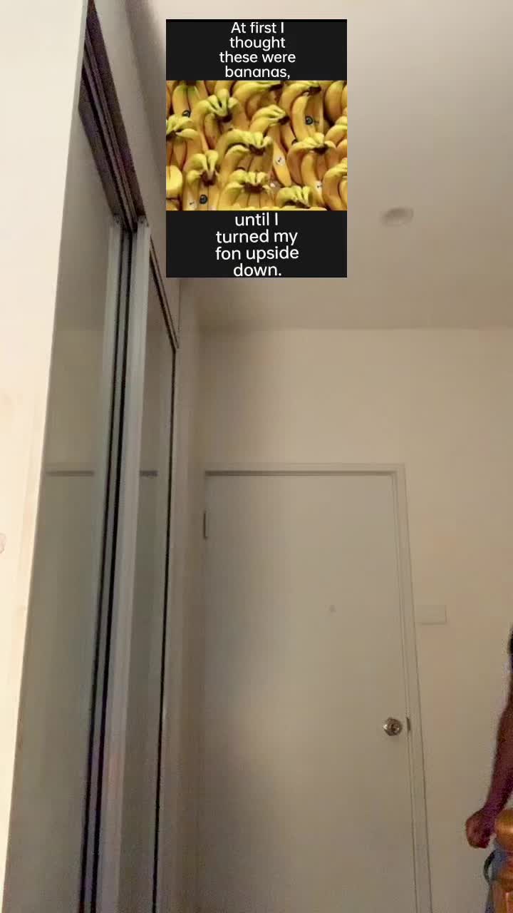 @Magic Ju