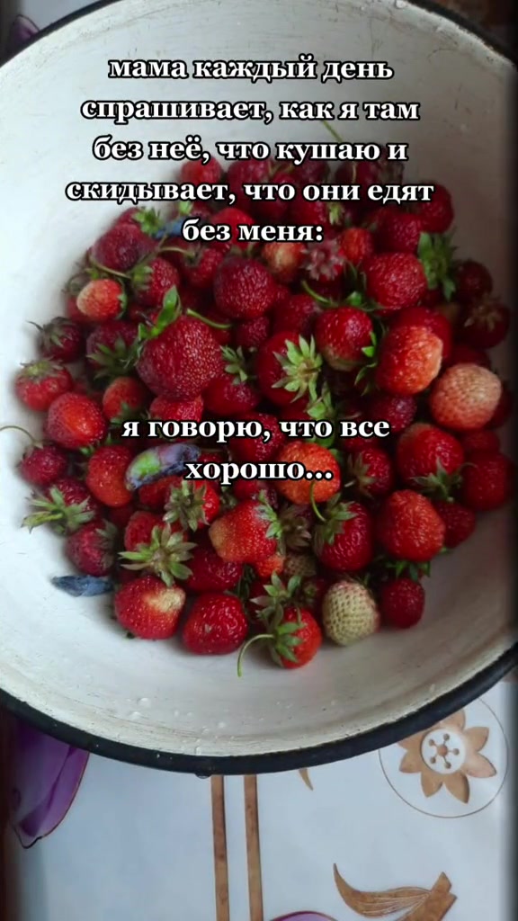 @Полина Клименко