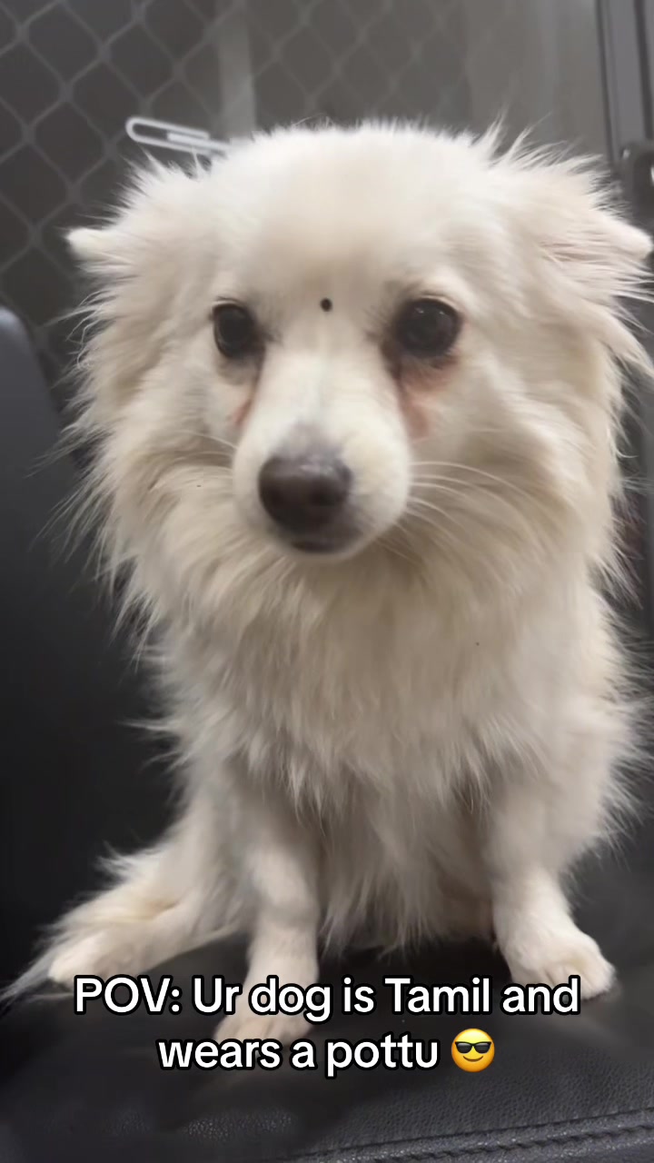 @kerthana.mahes