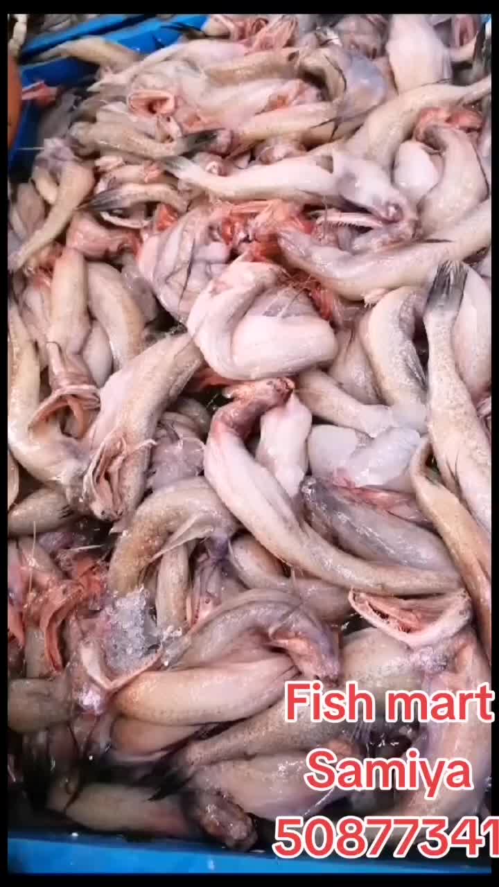 @fish mart@007