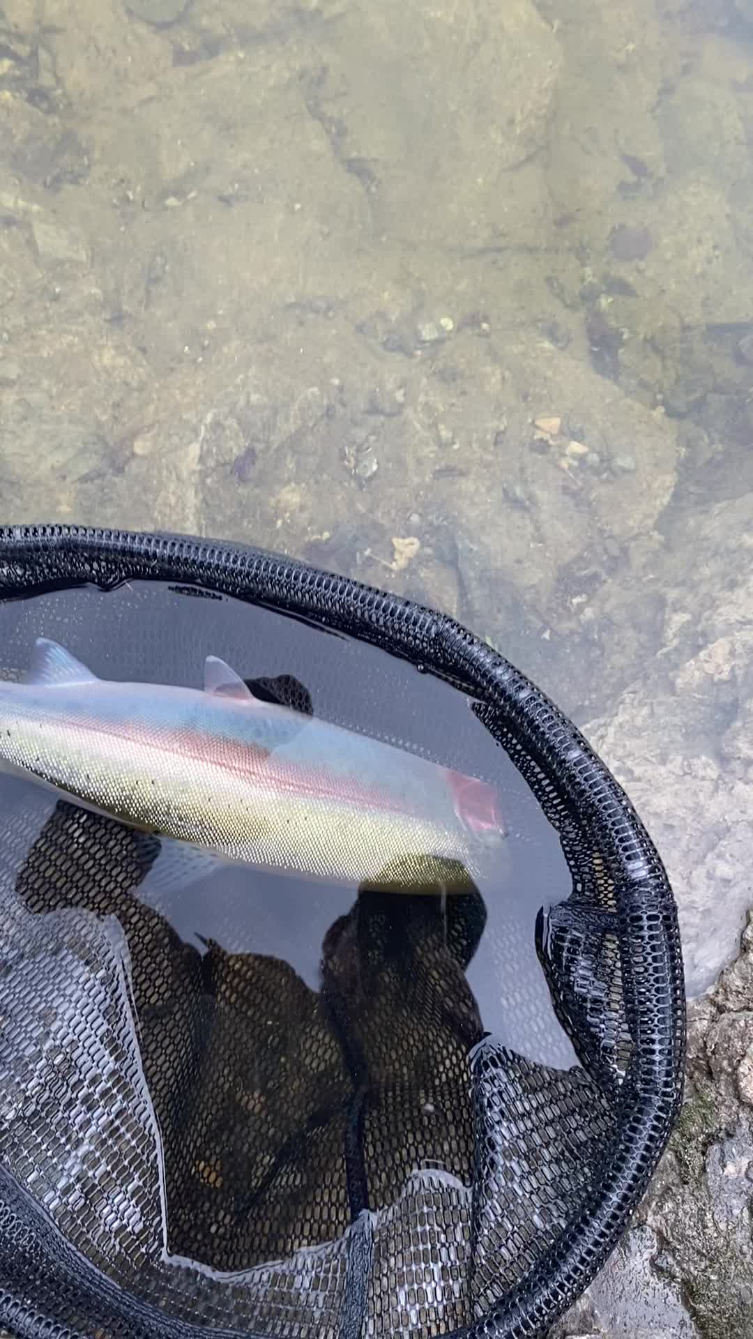 @Jared fishing BC