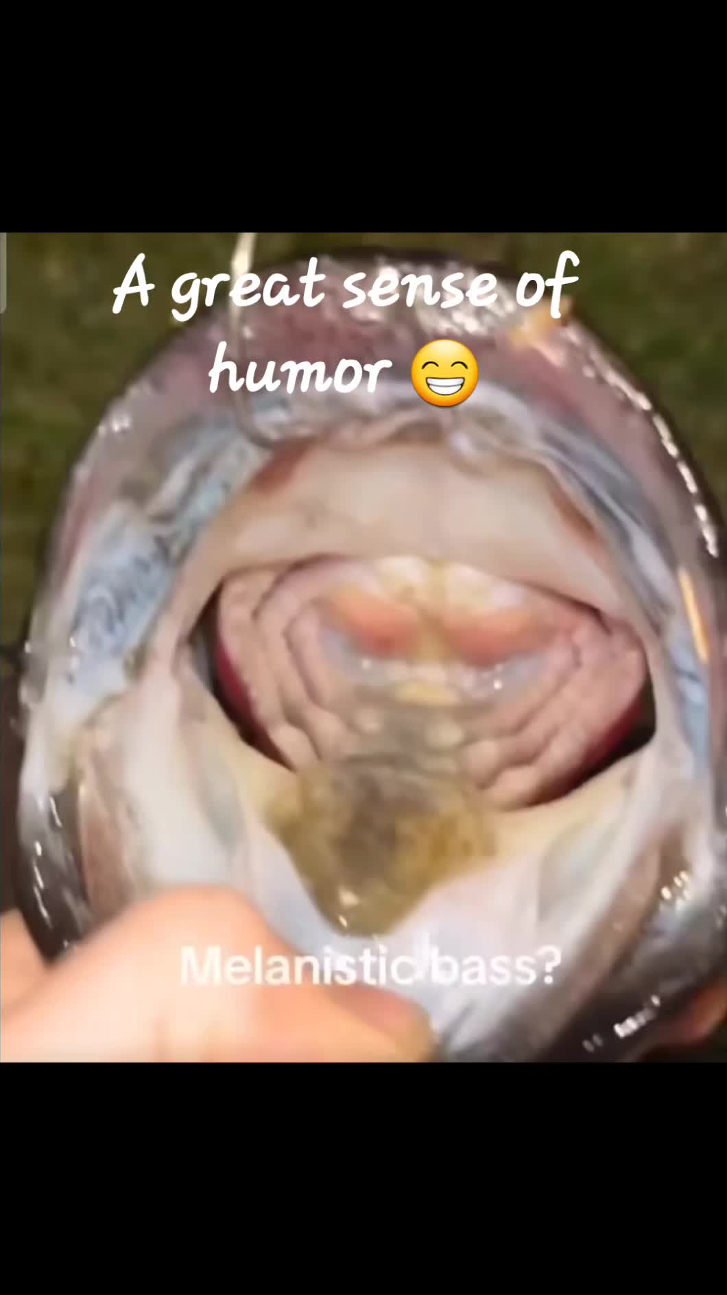 @donchristian69