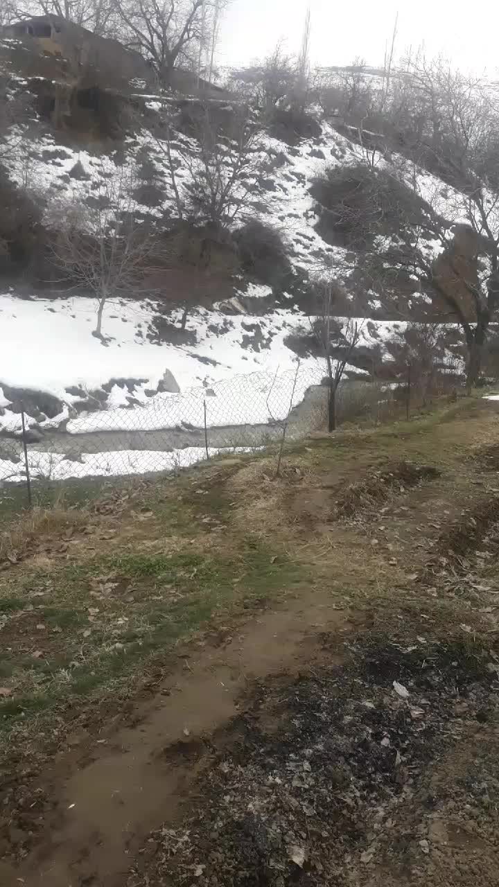 @tural qeliyancı 75