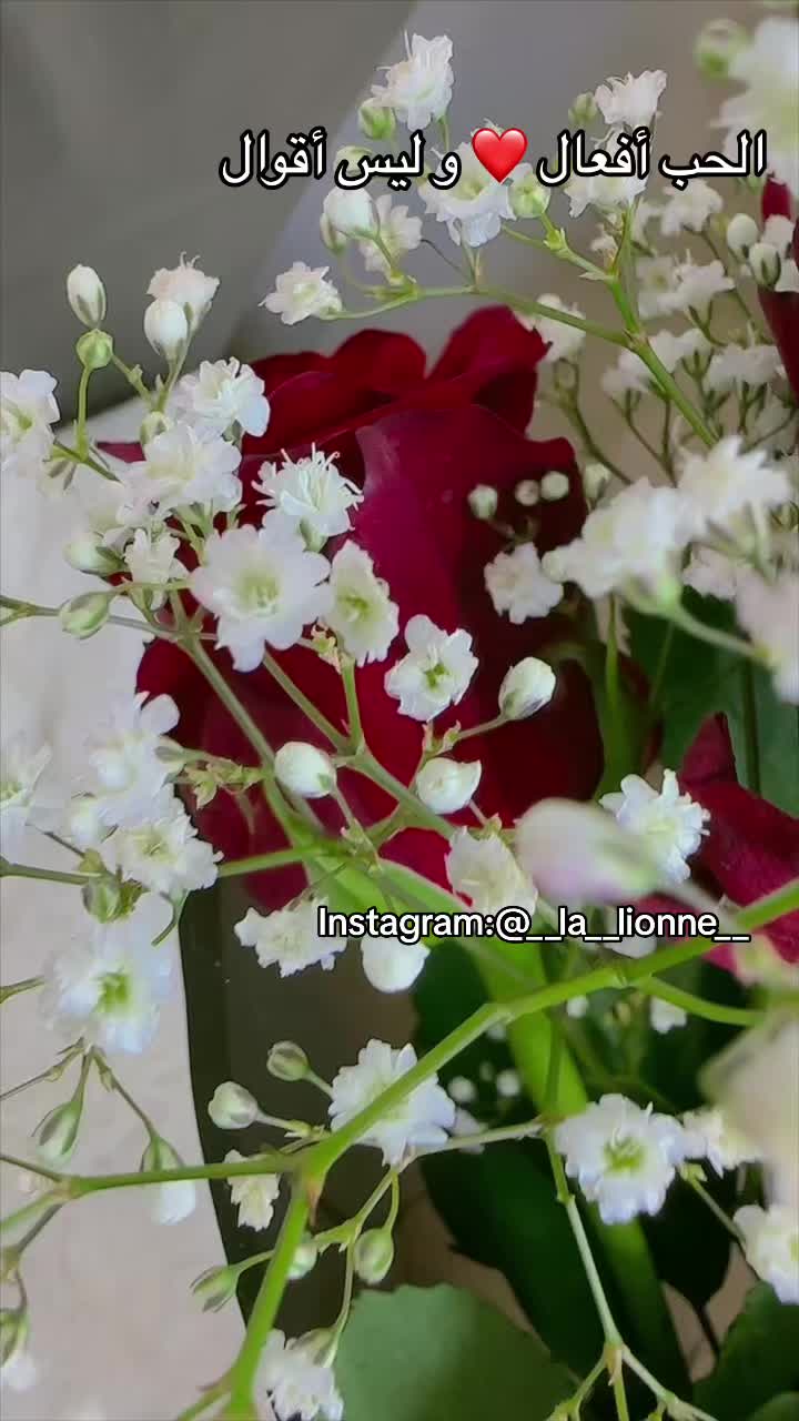 @Yousy