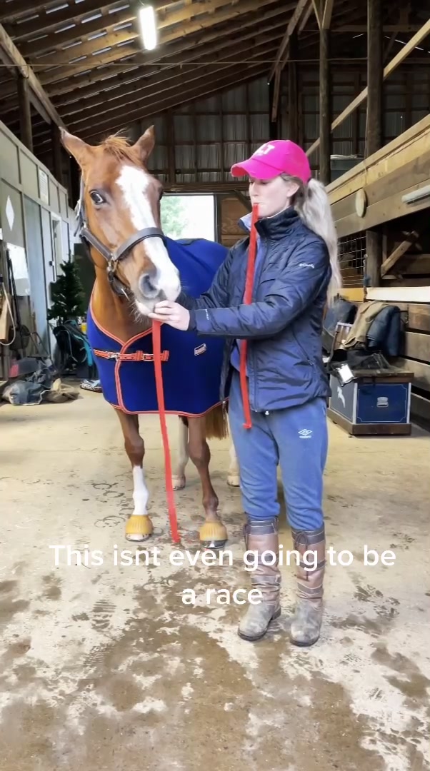 @Chunky Pony