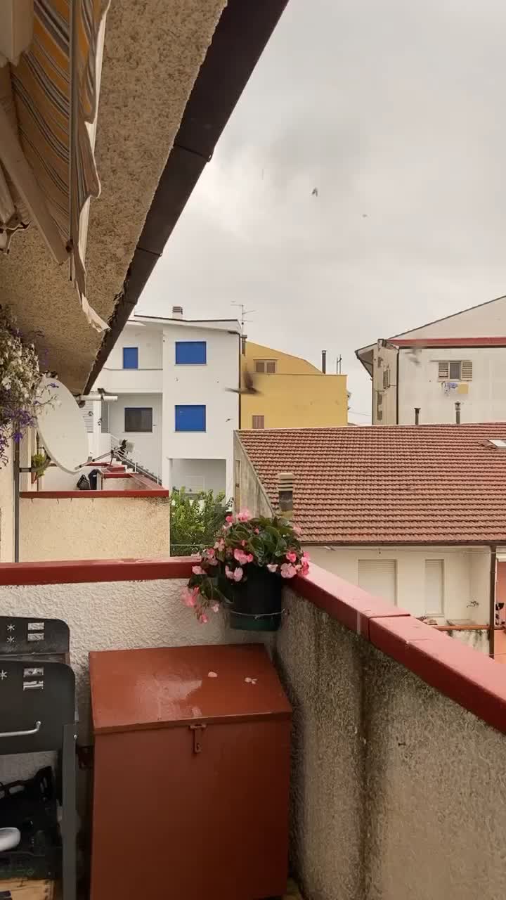 @Noemi Primiterra