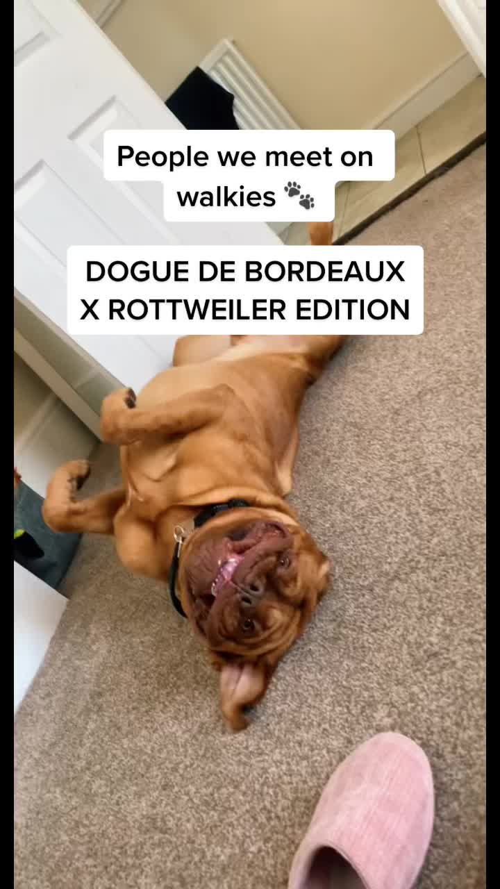 @mrbronson19