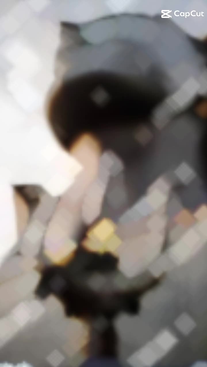 @Thisi012