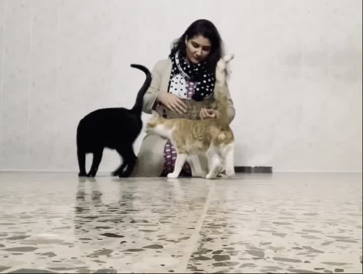 @تەرزە حسێن