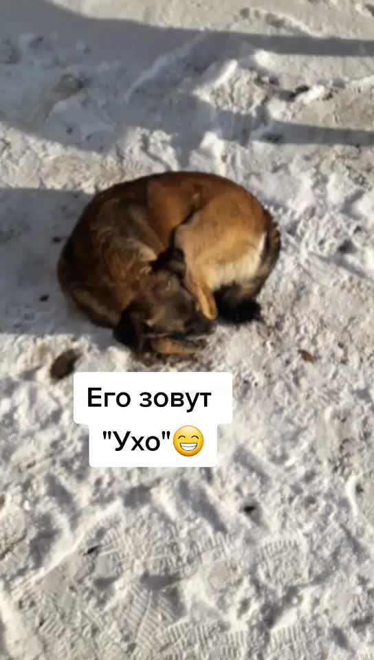 @Анютка