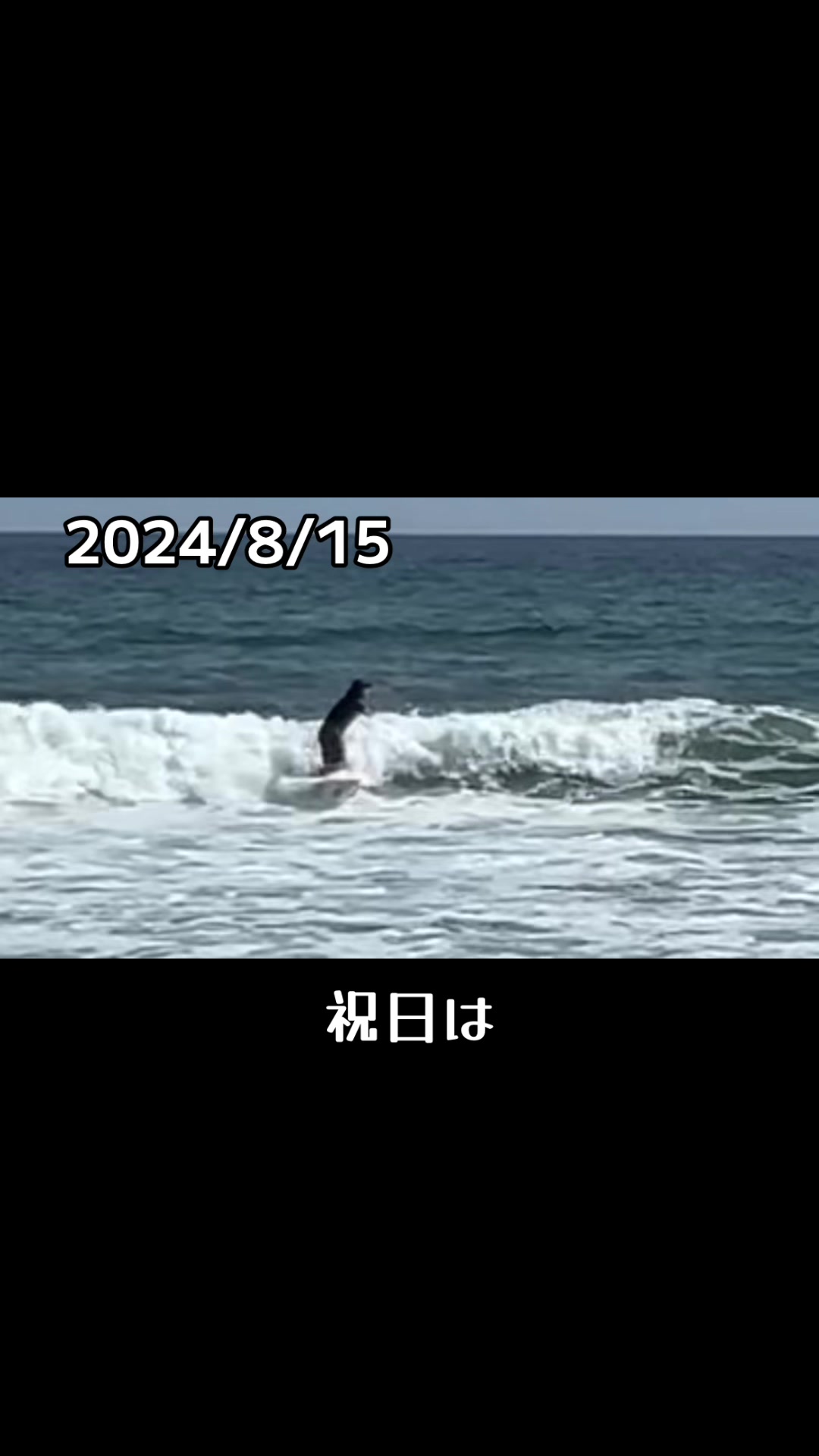 @サーフィン記録