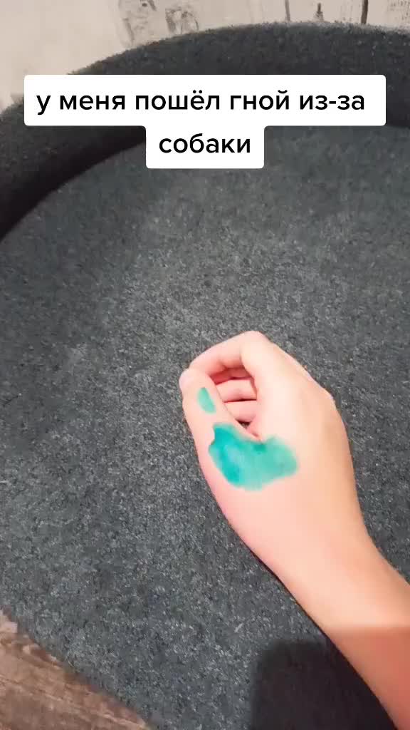 @питорка