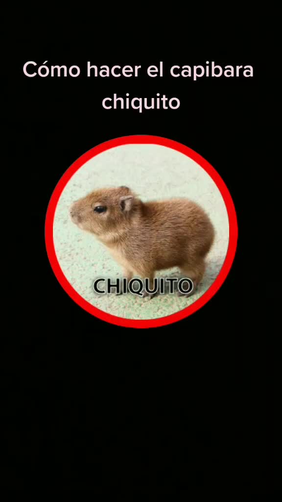 @🦊aylen🦊