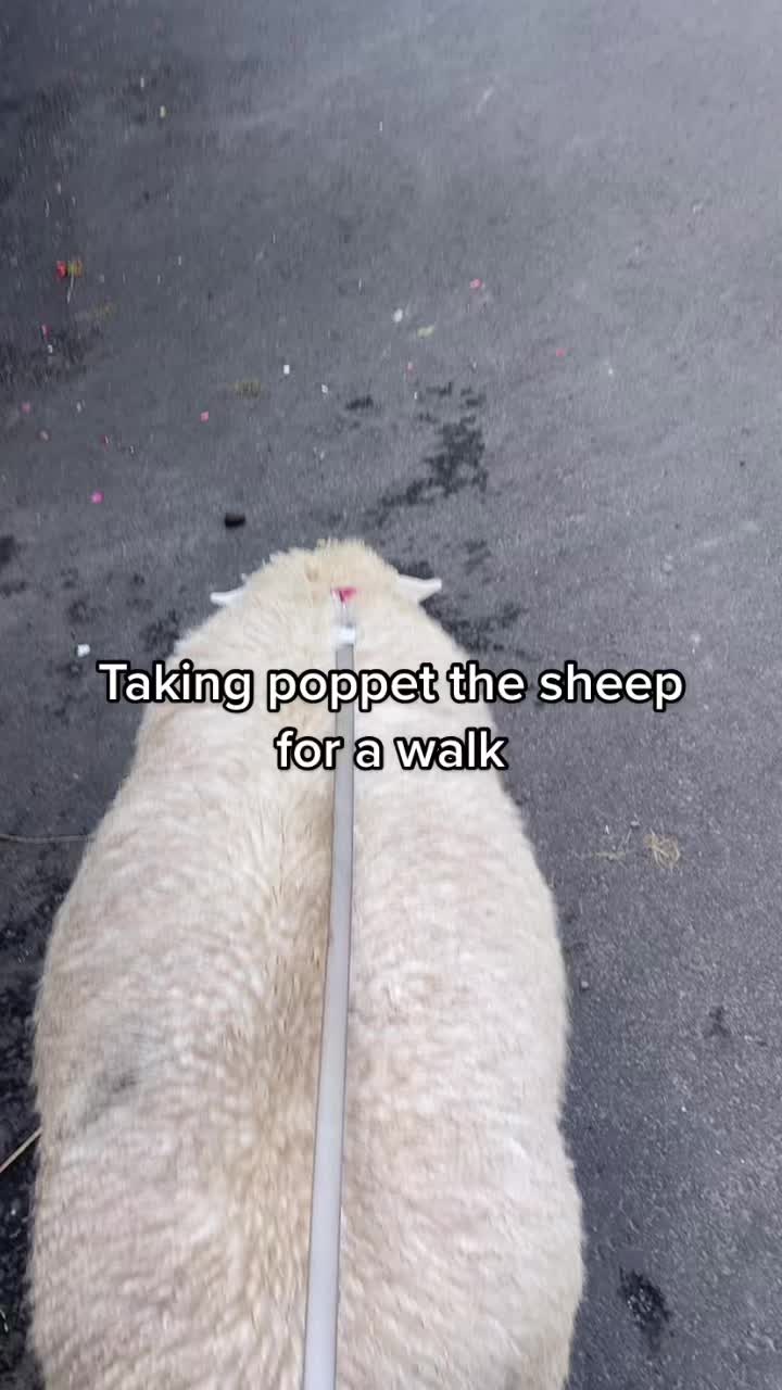 @Farming7744