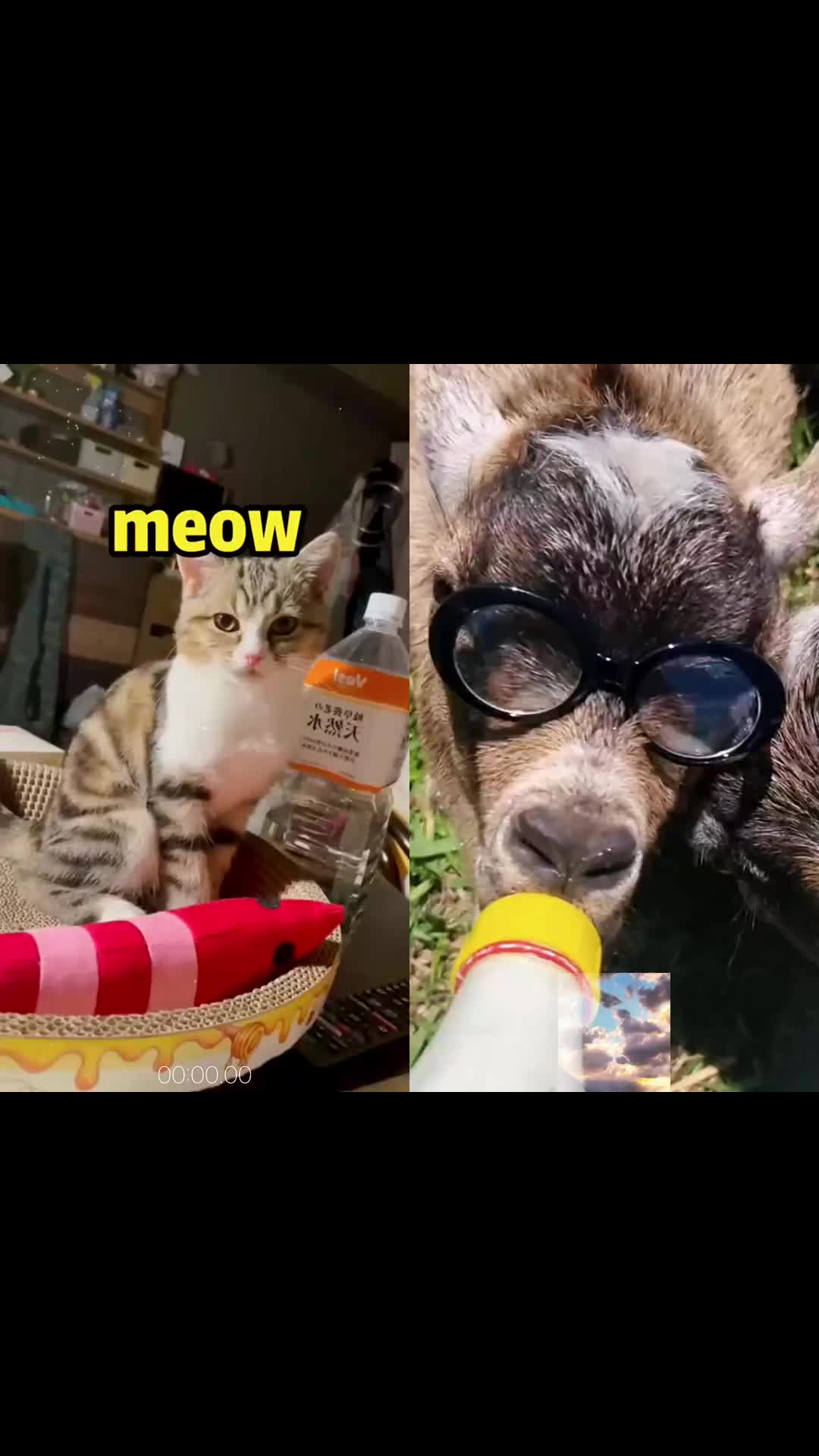 @maxgrg