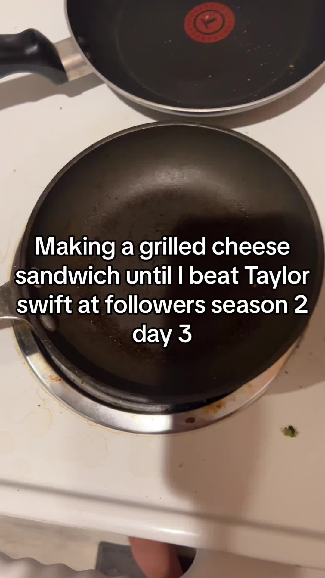 @BiggestTaylorSwiftHater