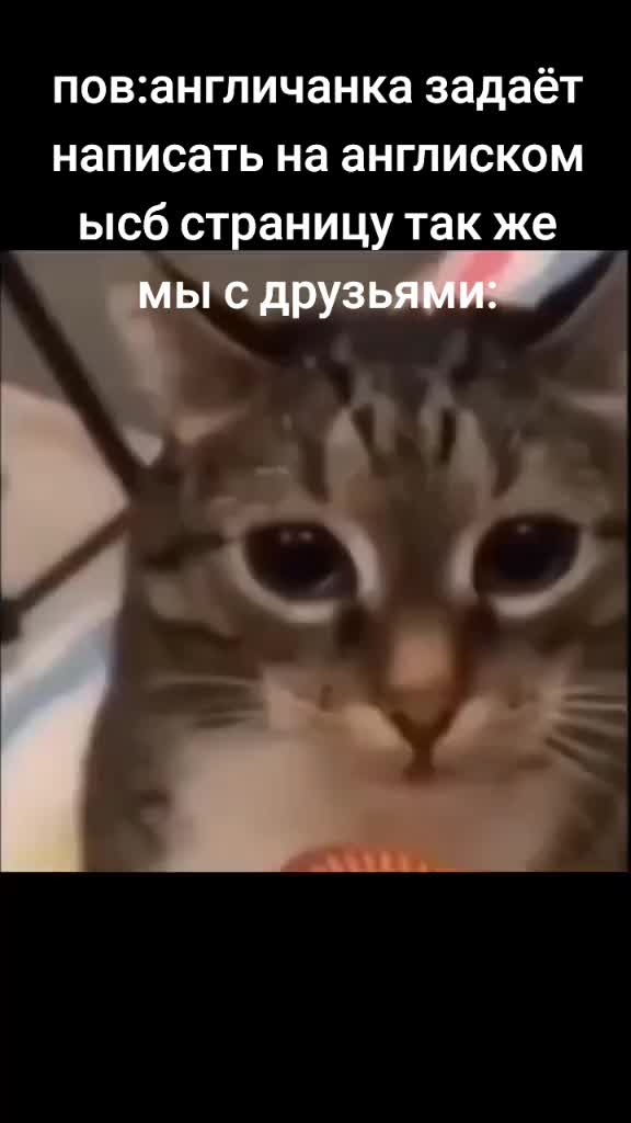 @sas