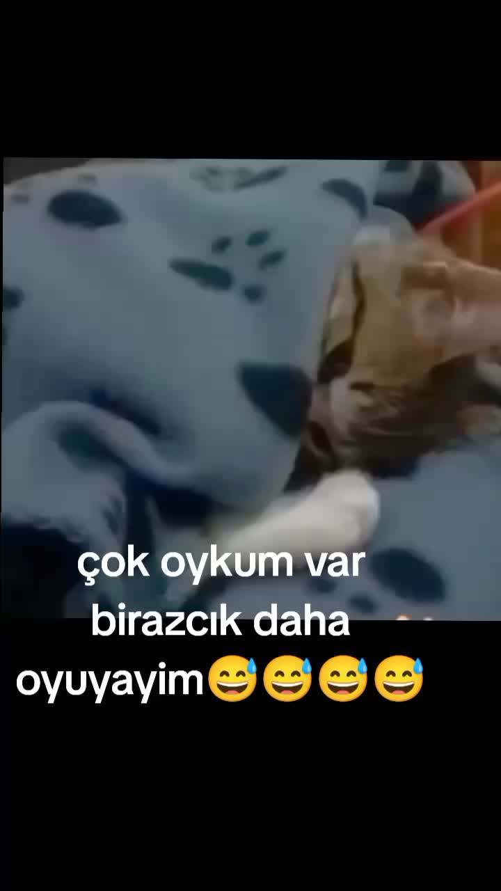 @gamzeli kızı 😊 minnoşlari