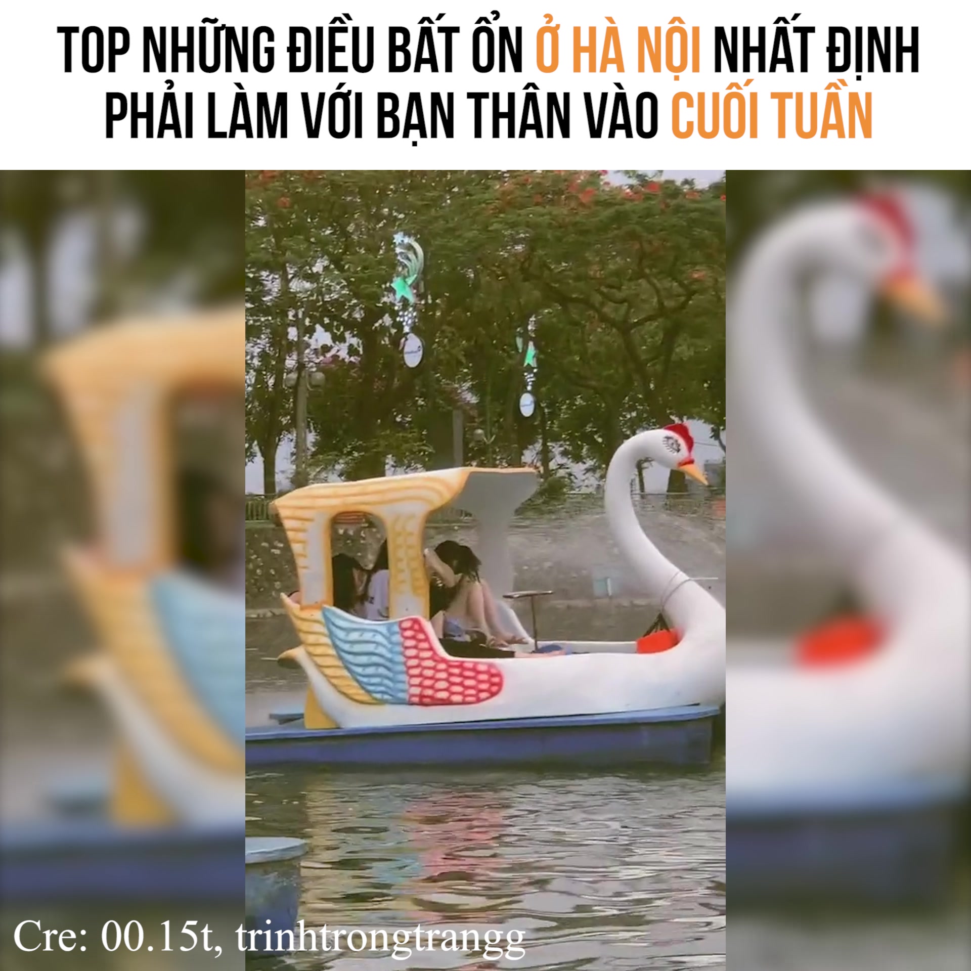 @Halo Vietnam