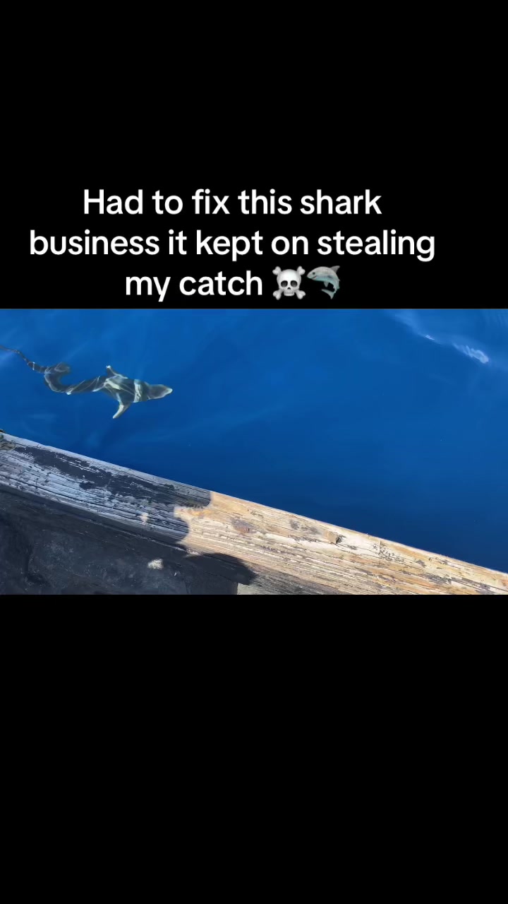 @Kevin’s Adventure
