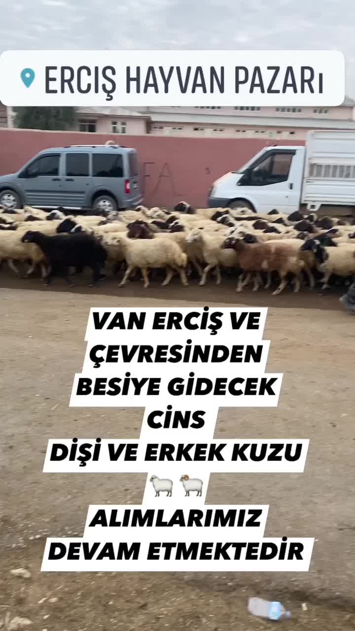 @Erhan Hasdemir