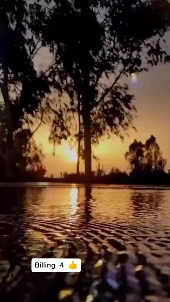@deep_billing
