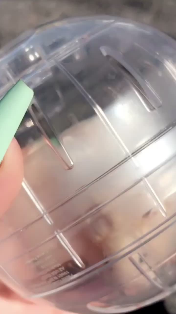 @lainypop420