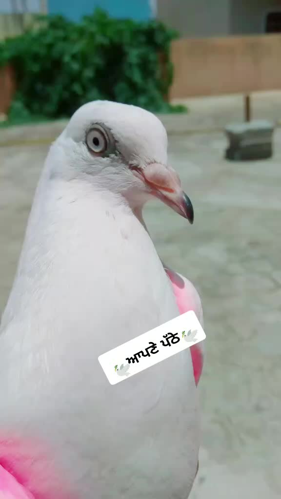 @user62700360440
