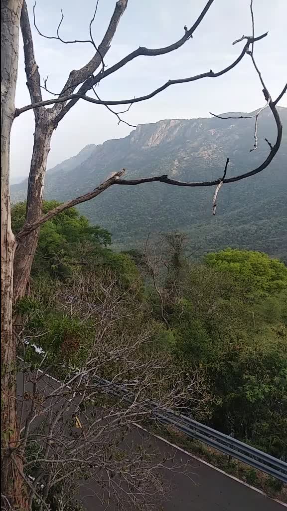 @kokki Kumar 003
