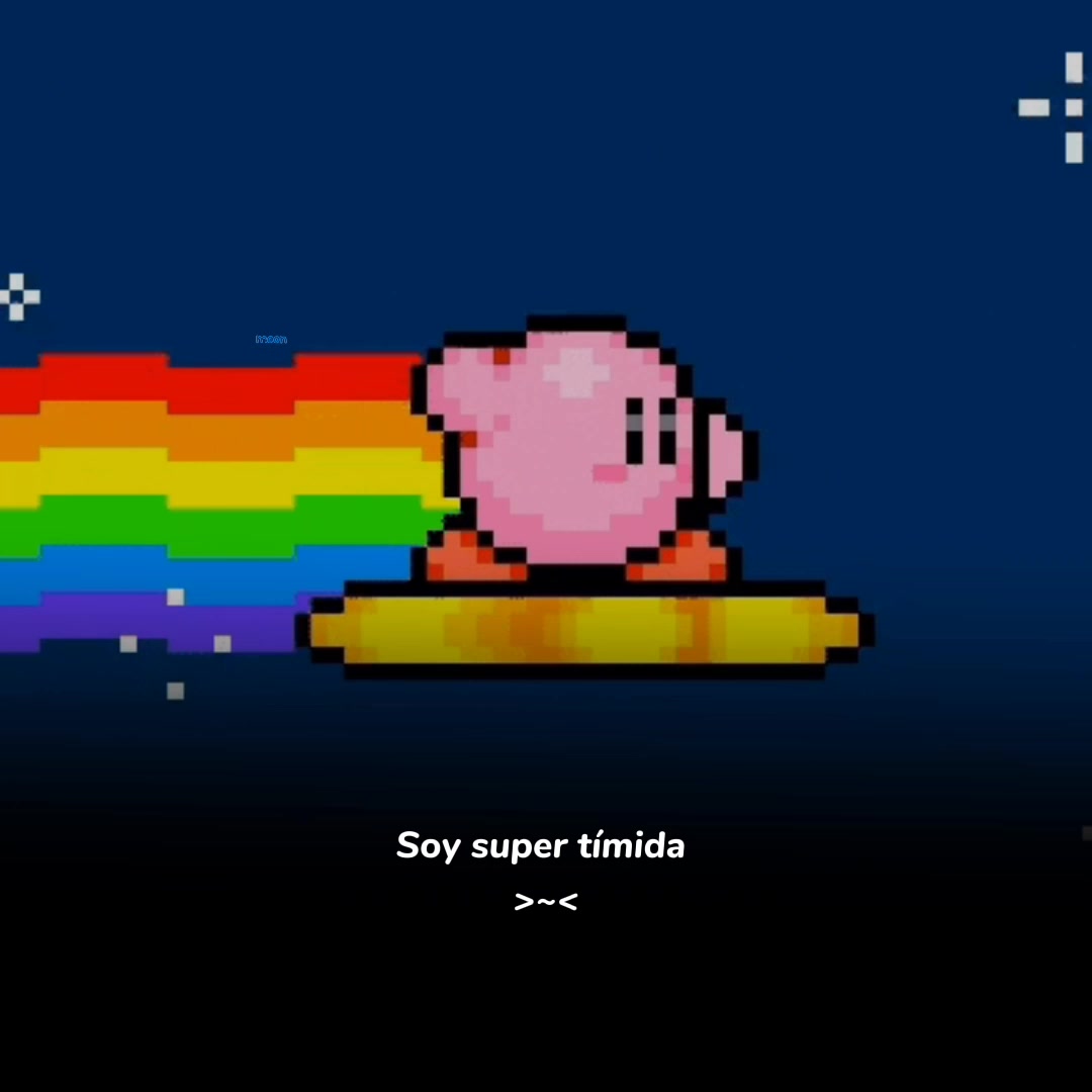@Moon ₍˄..˄₎꠹