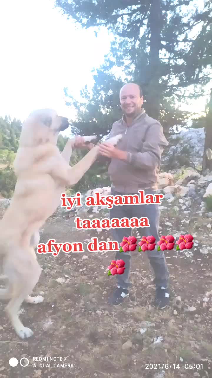 @Duran &Ccedil;etin33