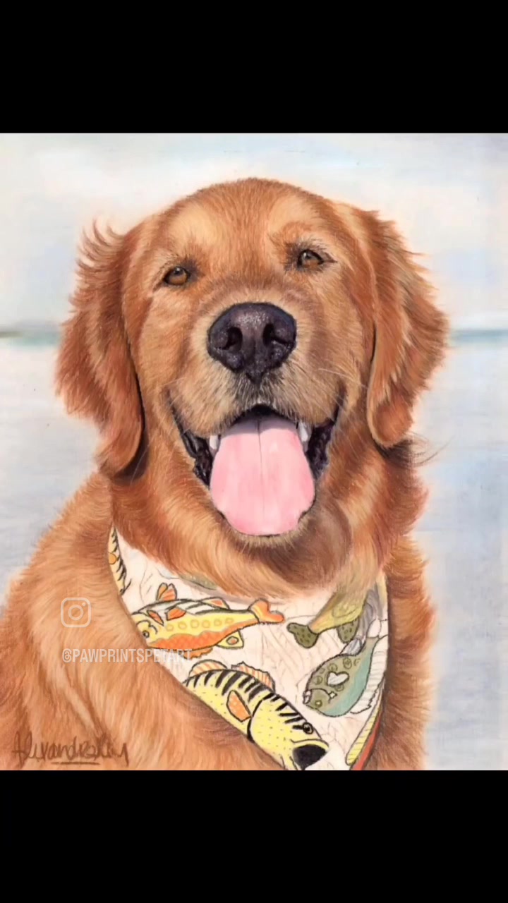 @Paw Prints Pet Art